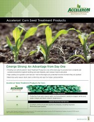 Acceleron® Corn Seed Treatment Products - Monsanto