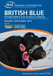 BRITISH BLUE - Harrison & Hetherington