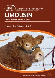 LIMOUSIN - Harrison & Hetherington