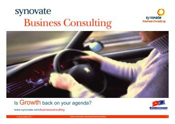 Synovate Business Consulting - Eurocham