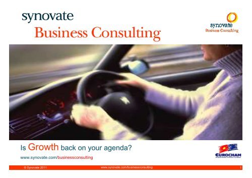Synovate Business Consulting - Eurocham
