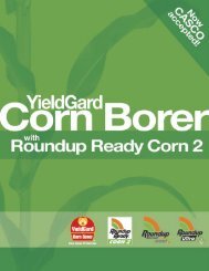 YieldGard Corn Borer with Roundup Ready Corn 2 ... - Monsanto