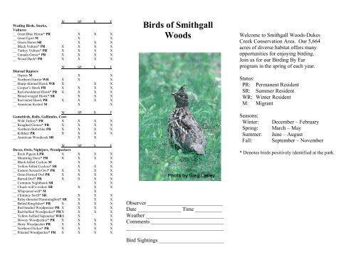 Birds of Smithgall Woods