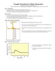 Synaptic Potentials & Cellular Integration - Pearson