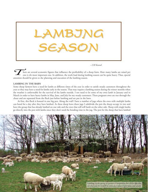 LAMBING SEASON - White Clover Sheep Farm