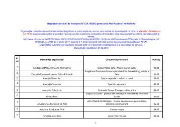 Rezultate Arte vizuale si noile media sesiunea III_2011 - AFCN