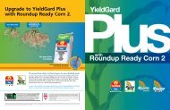 YieldGard Plus with Roundup Ready Corn 2 Brochure - Monsanto