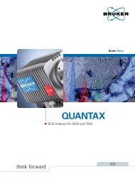 The new QUANTAX EDS systems - Labface