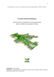 Informe Macizo forestal del Queguay - Free