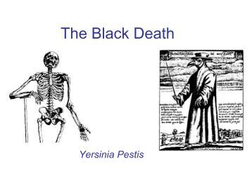 Black death essay