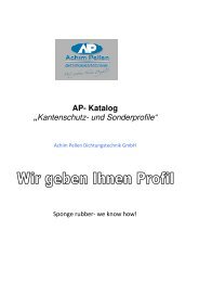 AP-Katalog 2013 - Kanten/Sonder - AP Dichtungstechnik GmbH