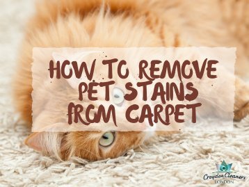 HOW TO REMOVE PET STAINS FROM CARPET