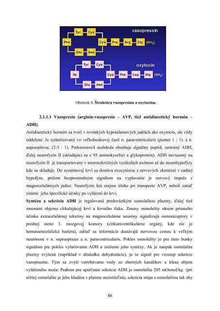 PatologickÃ¡ fyziolÃ³gia trÃ¡viaceho traktu a endokrinneho systÃ©mu