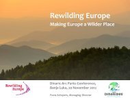 Rewilding Europe - Dinaric Arc parks