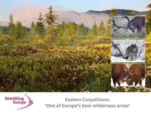 Rewilding Europe - Dinaric Arc parks