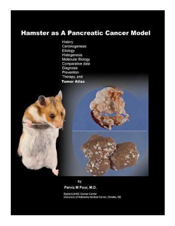 Pancreatic Cancer Models - The Pancreapedia