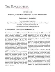 Isolation, Purification and Protein Content of Pancreatic ...