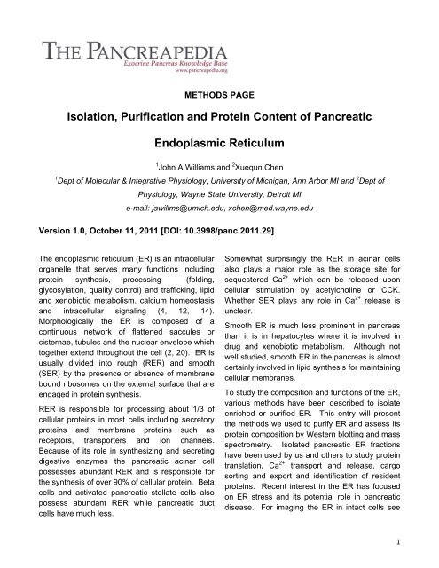 Isolation, Purification and Protein Content of Pancreatic ...