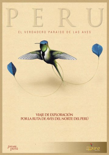 Aves del Norte del PerÃº - Birding Routes