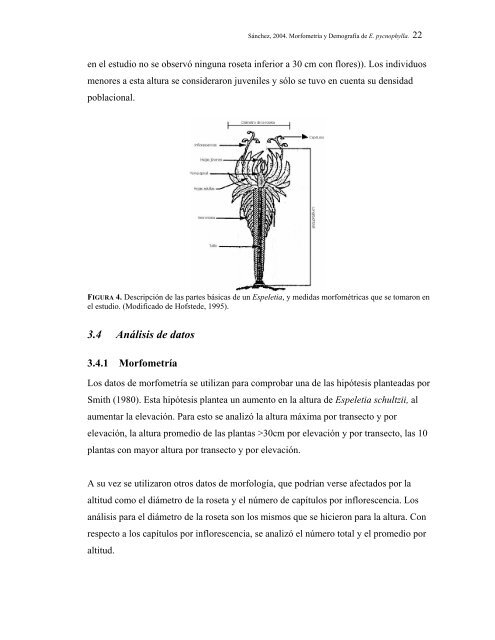 CAPITULO 1: REVISION MONOGRAFICA - Mecanismo de ...