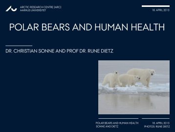 Polar bears and human health - Arctic Research Centre - Aarhus ...