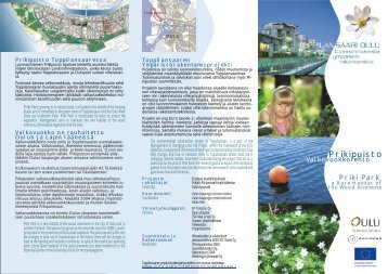 Prikipuisto - valkovuokkolehto - esite - Oulu