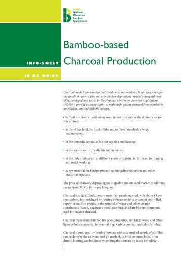 Bamboo-based Charcoal Production - nmba