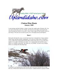 Chukar/Hun Hunts - Upland Idaho