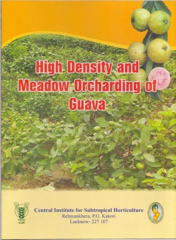 High Density and Meadow Orcharding of Guava