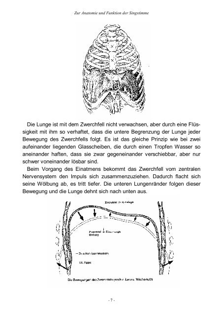 Zur Anatomie und Funktion der Singstimme - in der Stimmwerkstatt ...