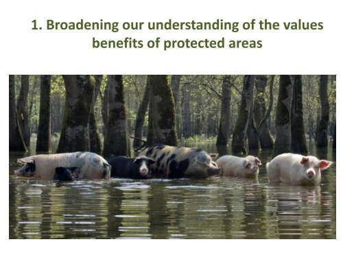 Introduction to the Protected Areas Benefit ... - Dinaric Arc parks