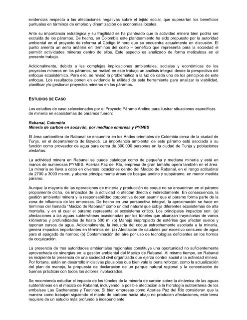 Resumen Ejecutivo - Mineria & Paramos (Version 1)