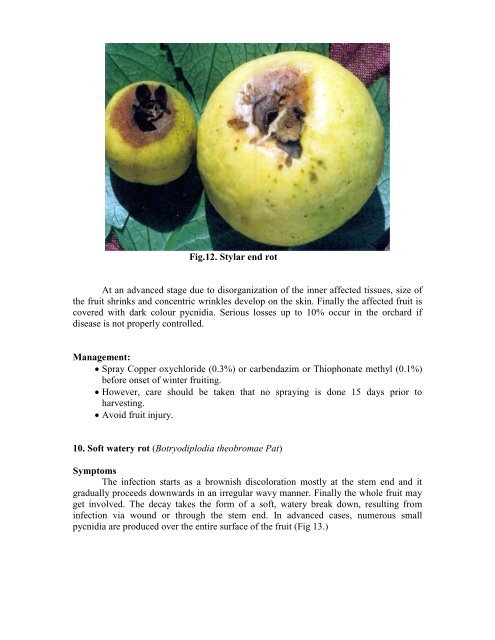 Guava - National Horticulture Mission