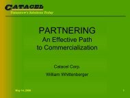 Partnering - An Effective Path to Commercialization