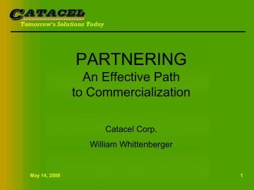 Partnering - An Effective Path to Commercialization