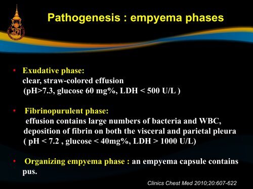 Pathogenesis : empyema phases