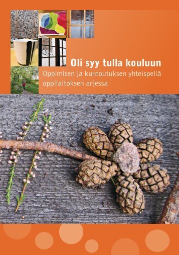 Lataa pdf - Kiipulan ammattiopisto