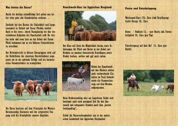 Flyer zum Rinderkurs - Yellow-Pine-Stable