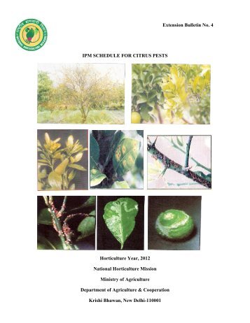 Citrus - National Horticulture Mission