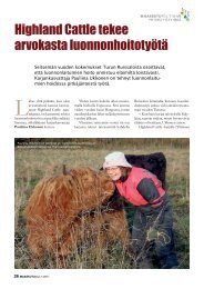 Highland Cattle tekee arvokasta luonnonhoitotyÃ¶tÃ¤ - Maaseudun ...