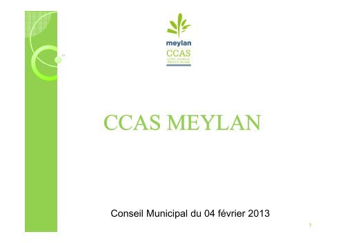 BIlan CCAS 2012 - Site de la mairie de Meylan