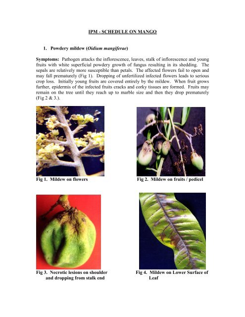 IPM - SCHEDULE ON MANGO 1. Powdery mildew (Oidium ...