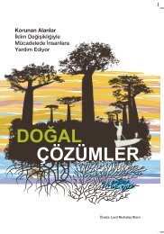 DoÄal ÃÃ¶zÃ¼mler - KÃ¼re DaÄlarÄ± Milli ParkÄ±