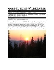 Gospel Hump Wilderness - Upland Idaho