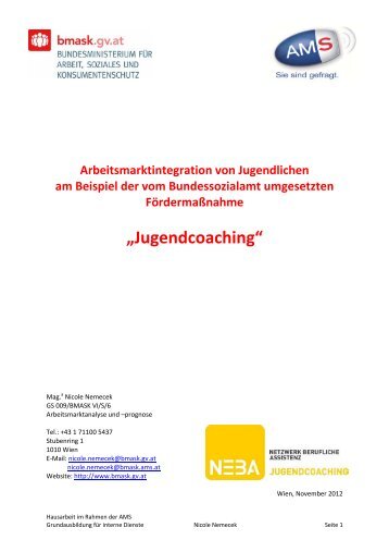 Arbeitsmarktintegration von Jugendlichen am Beispiel ... - dnet.at