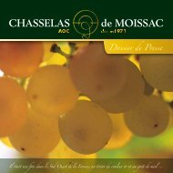 CHASSELAS de MOISSAC