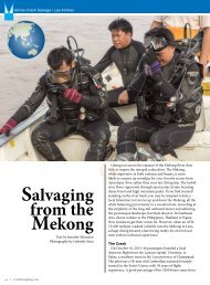 Salvaging Mekong