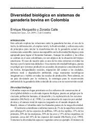 Diversidad biológica en sistemas de ganadería bovina ... - Corpoica