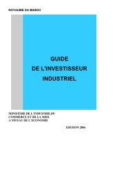 GUIDE DE L'INVESTISSEUR INDUSTRIEL - Ambassade du ...