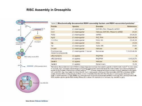 Post Transcriptional Gene Silencing in Plants (PTGS) - Eurasnet.info